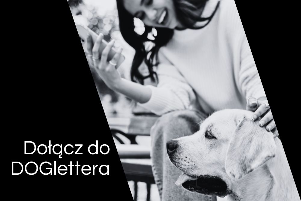 DOGletter zapis