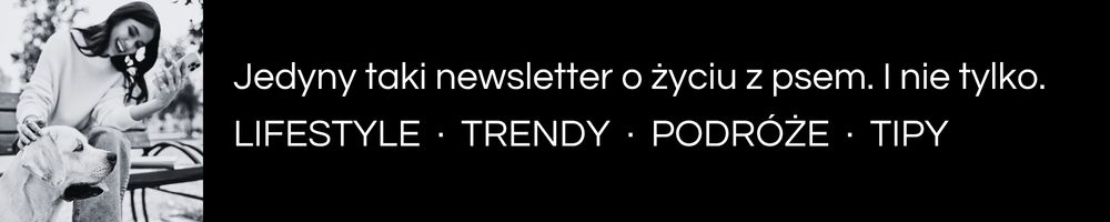 DOGletter zapis