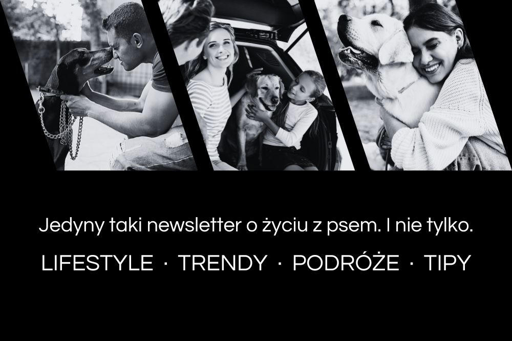 DOGletter zapis