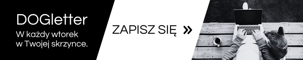 DOGletter zapis