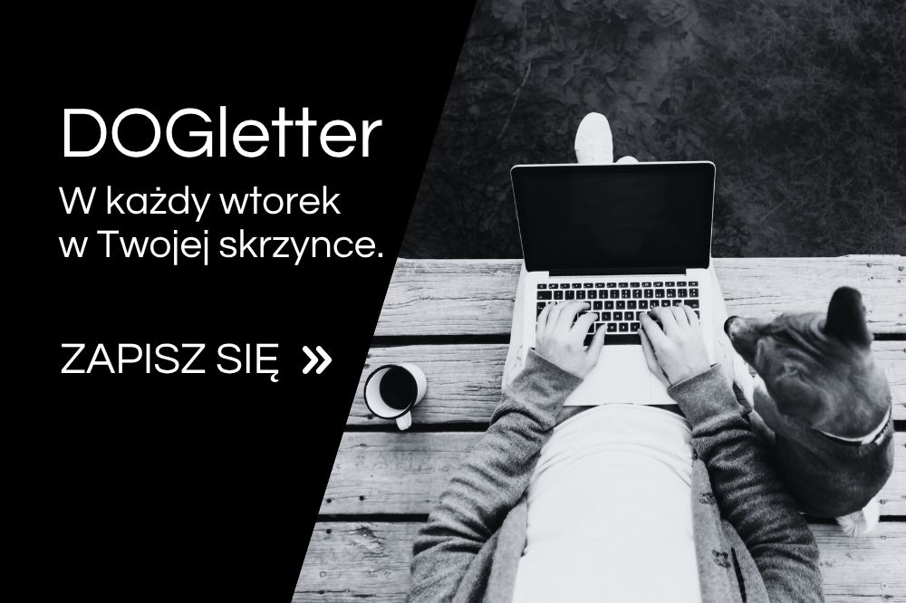 DOGletter zapis